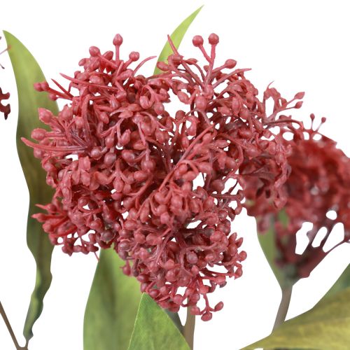 Skimmie Skimmia Japonica Fleurs Artificielles Bordeaux DryLook L59cm