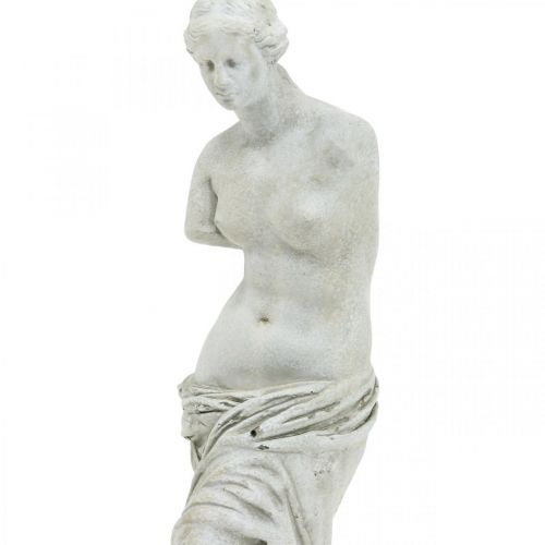 Floristik24 Statue sculpture décorative statue Vénus H29cm figurine décorative gris-marron jardin