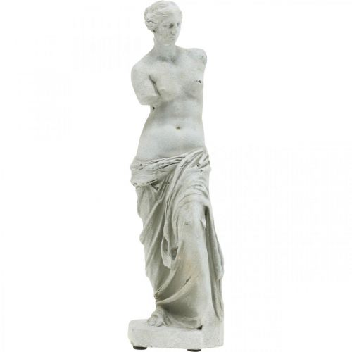 Floristik24 Statue sculpture décorative statue Vénus H29cm figurine décorative gris-marron jardin