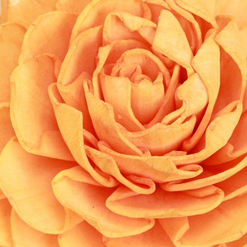 Article Sola fleurs en bois fleurs décoratives en bois mélange orange 6-11cm 12-15 pcs