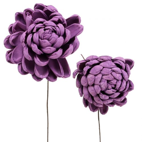 Floristik24 Fleurs sur le fil violet foncé 8cm 12pcs