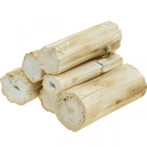 Floristik24 Tige de tournesol blanchie 10cm 24 pcs