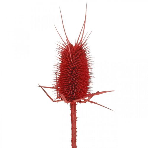 Article Cartes pointues rouges 1kg