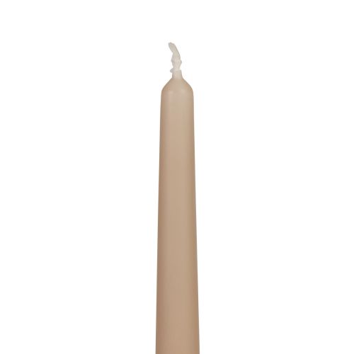 Floristik24 Bougies coniques Bougies Wenzel beige 250/23mm 12 pcs