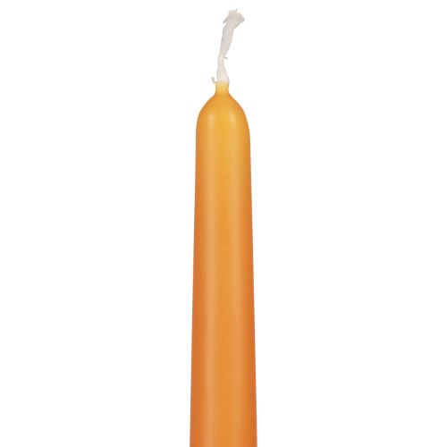 Article Bougies coniques, bougies bâtons, bougies Wenzel, orange, 250/23 mm, 12 pièces