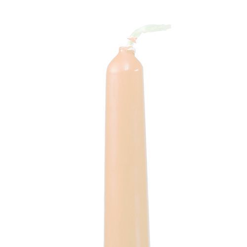 Floristik24 Bougies coniques 250/23 crème 12pcs.