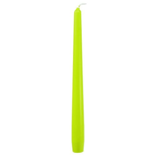 Floristik24 Bougies coniques 250/23 vert clair 12 pcs.