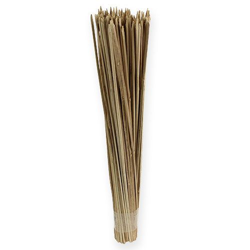 Floristik24 Chip sticks 50cm naturel 100p