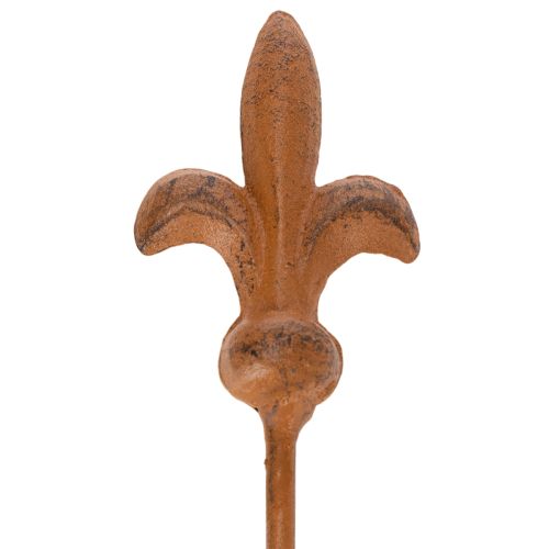 Article Piquet de jardin rustique décoratif en forme de lance de lys au design antique pour l'extérieur, 60 cm, lot de 2