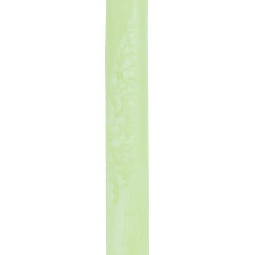 Floristik24 Bougies coniques de couleur vert clair 21 × 240mm 12pcs