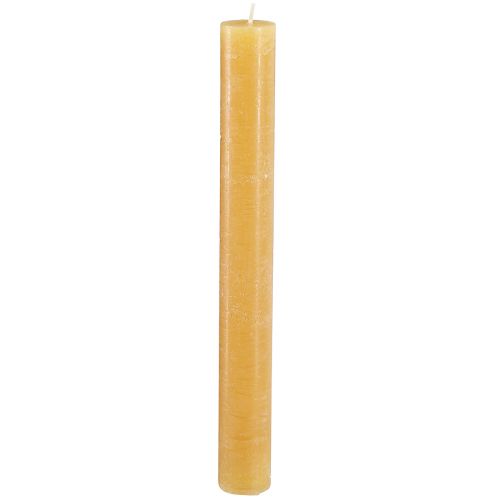 Floristik24 Bougies coniques couleur miel unie 34x300mm 4 pcs