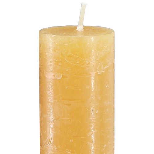 Floristik24 Bougies coniques couleur miel unie 34x300mm 4 pcs
