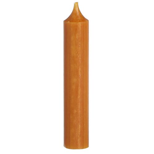 Floristik24 Bougies coniques bougie en cire courte caramel 21x110mm 6 pcs