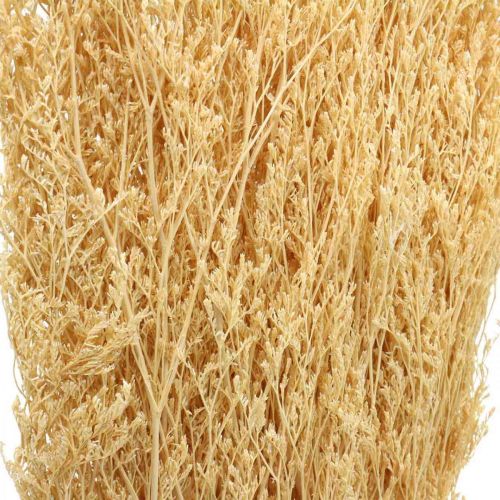 Floristik24 Crème de lavande de mer séchée Statice Dry Deco 100g
