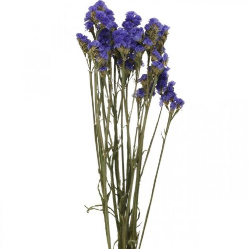 Floristik24 Bouquet de Lavande de Mer, Fleurs Séchées, Lavande de Mer, Statice Tatarica Bleu L46–57cm 23g