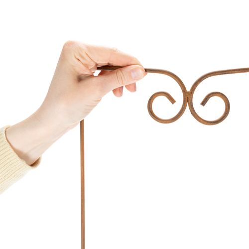 Article Treillis, support pour plantes grimpantes, élément décoratif incurvé pour massifs et pots de fleurs, 75 cm