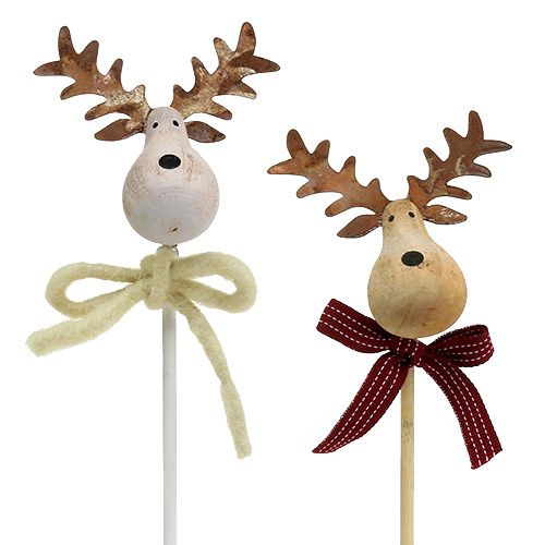 Floristik24 Plug Moose Nature, Blanc 7cm L30cm 8pcs