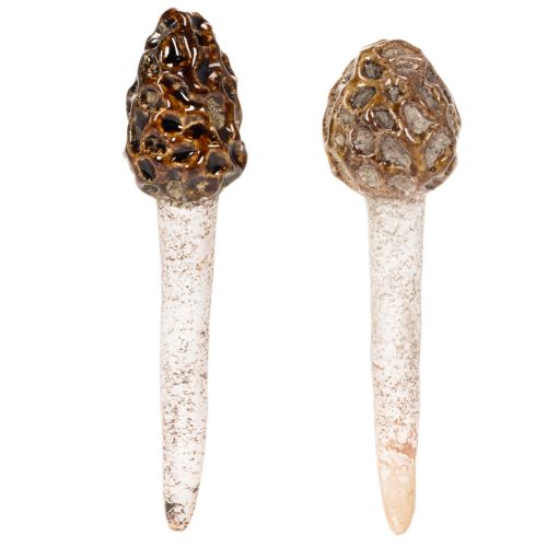 Morilles artificielles décoratives à piquer pour pots de fleurs et tables, 13 cm, lot de 2 | Floristik24.fr