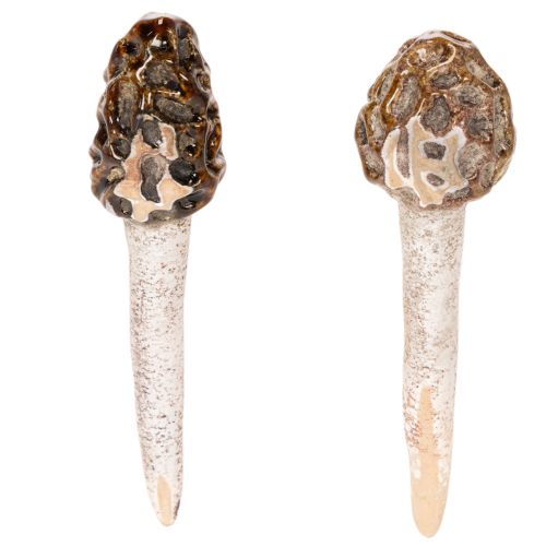 Morilles artificielles décoratives à piquer pour pots de fleurs et tables, 13 cm, lot de 2 | Floristik24.fr