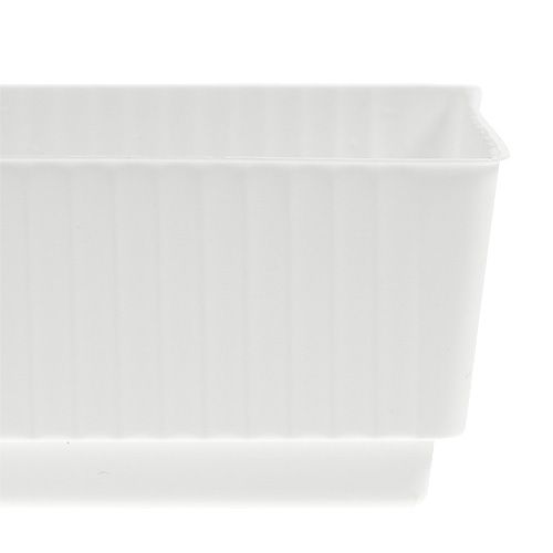 Floristik24 Plateau enfichable mousse plug-in humide 23 x 8 x 4,5 blanc 10pcs