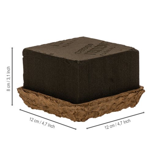 Article Mousse florale OASIS® Renewal® Biolit® 2 demi-briques 12 × 12 × 8 cm, brunes