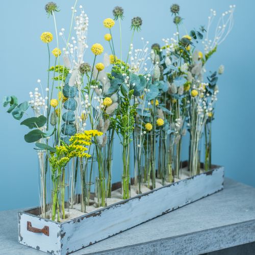 Mousse florale pour fleurs séchées Masse florale sèche 23x8x11cm