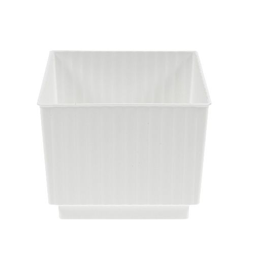 Floristik24 Cubes enfichables pour plug-in dimensions 7cm blanc 10pcs