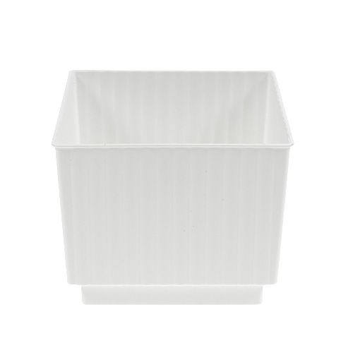 Cube pour composition florale Barquette 7×7×6cm Blanc 10pcs