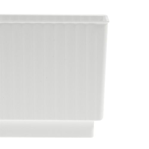 Article Cube pour composition florale Barquette 7×7×6cm Blanc 10pcs