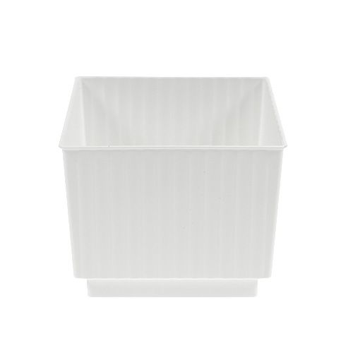 Floristik24 Cube pour mousse florale 6.5cm blanc 20pcs