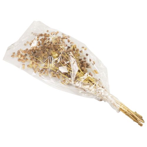 Article Fleurs séchées décoration branches décoratives branche Stefani 95cm 200g