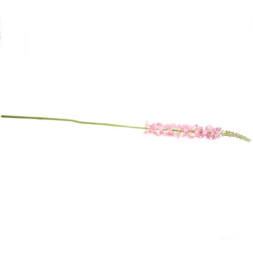 Article Lis des steppes cierge du désert rose 106 cm