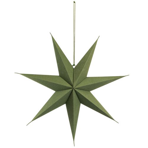 Article Décoration étoile poinsettia papier jute vert 60x15cm