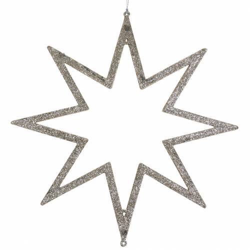 Floristik24 Décoration de Noël étoile Décorations pour sapin de Noël champagne paillettes 22cm 12pcs