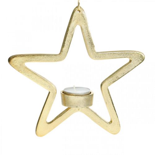 Floristik24 Photophore décoratif étoile à suspendre métal doré 20cm