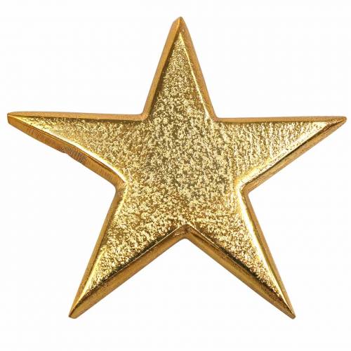 Floristik24 Étoiles en métal doré 7,8×7,4cm/6,4×6,2cm 8 pcs