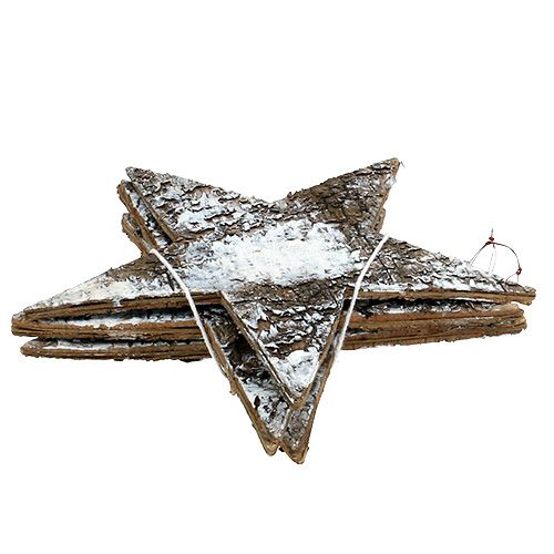 Floristik24 Étoiles en écorce de bouleau blanche 29cm 3pcs