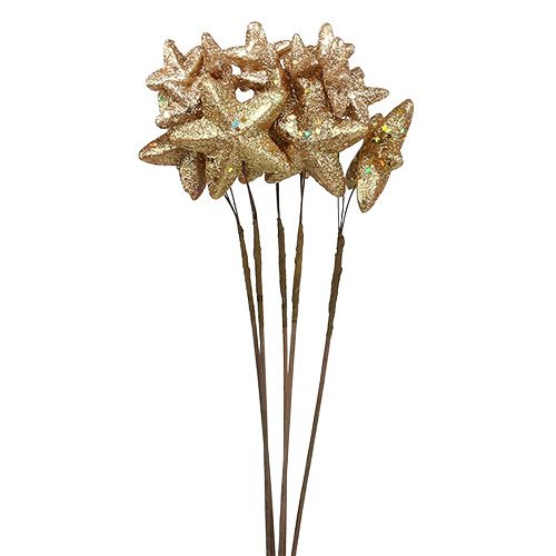 Floristik24 Étoiles livrées avec des paillettes d&#39;or 60cm 5pcs