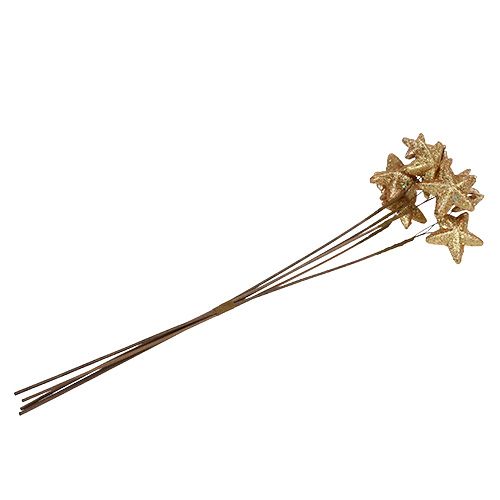 Floristik24 Étoiles livrées avec des paillettes d'or 60cm 5pcs