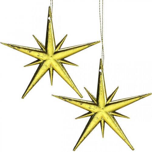 Floristik24 Pendentif étoile de décoration de Noël doré L11,5 cm 16pcs