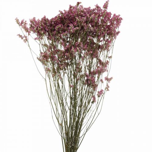 Floristik24.fr Statice, Lavande de Mer, Fleur Séchée, Bouquet de Fleurs  Sauvages Rose L52cm 23g - acheter pas cher en ligne