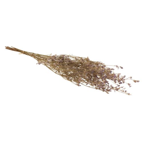 Article Fleurs Séchées Lilas Limonium Plage Violet 70cm 50g