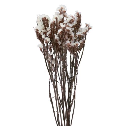 Floristik24 Fleurs Séchées Lilas Blanc Limonium Plage 60cm 35g