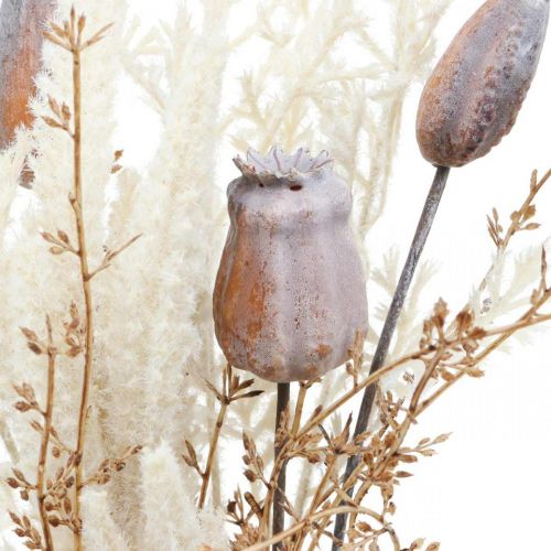 Article Capsules de coquelicot fleurs séchées décoratives fougère artificielle crème 63cm