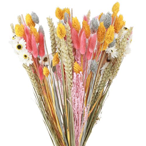 Floristik24 Bouquet de fleurs séchées et grains rose jaune bleu 55cm