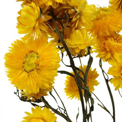 Article Fleur séchée Fleur de paille jaune Helichrysum Décoration sèche Bouquet 50cm 45g