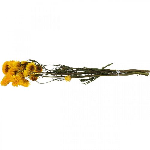 Floristik24 Fleur séchée Fleur de paille jaune Helichrysum Décoration sèche Bouquet 50cm 45g
