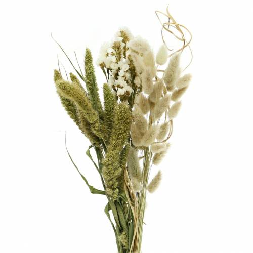 Floristik24 Bouquet d&#39;herbes sauvages fleuries sèches 50g