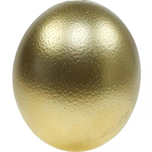 Article Décoration oeuf d&#39;autruche soufflé décoration Pâques or Ø12cm H14cm