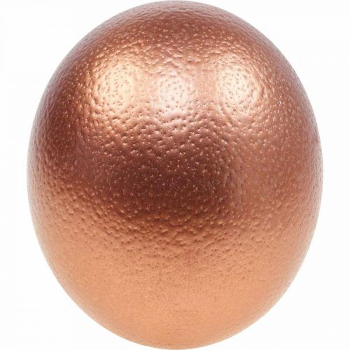 Article Décoration oeuf d&#39;autruche soufflé déco Pâques cuivre Ø12cm H14cm
